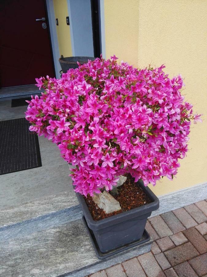 B&B Guglielmina Quarna Sotto Kültér fotó